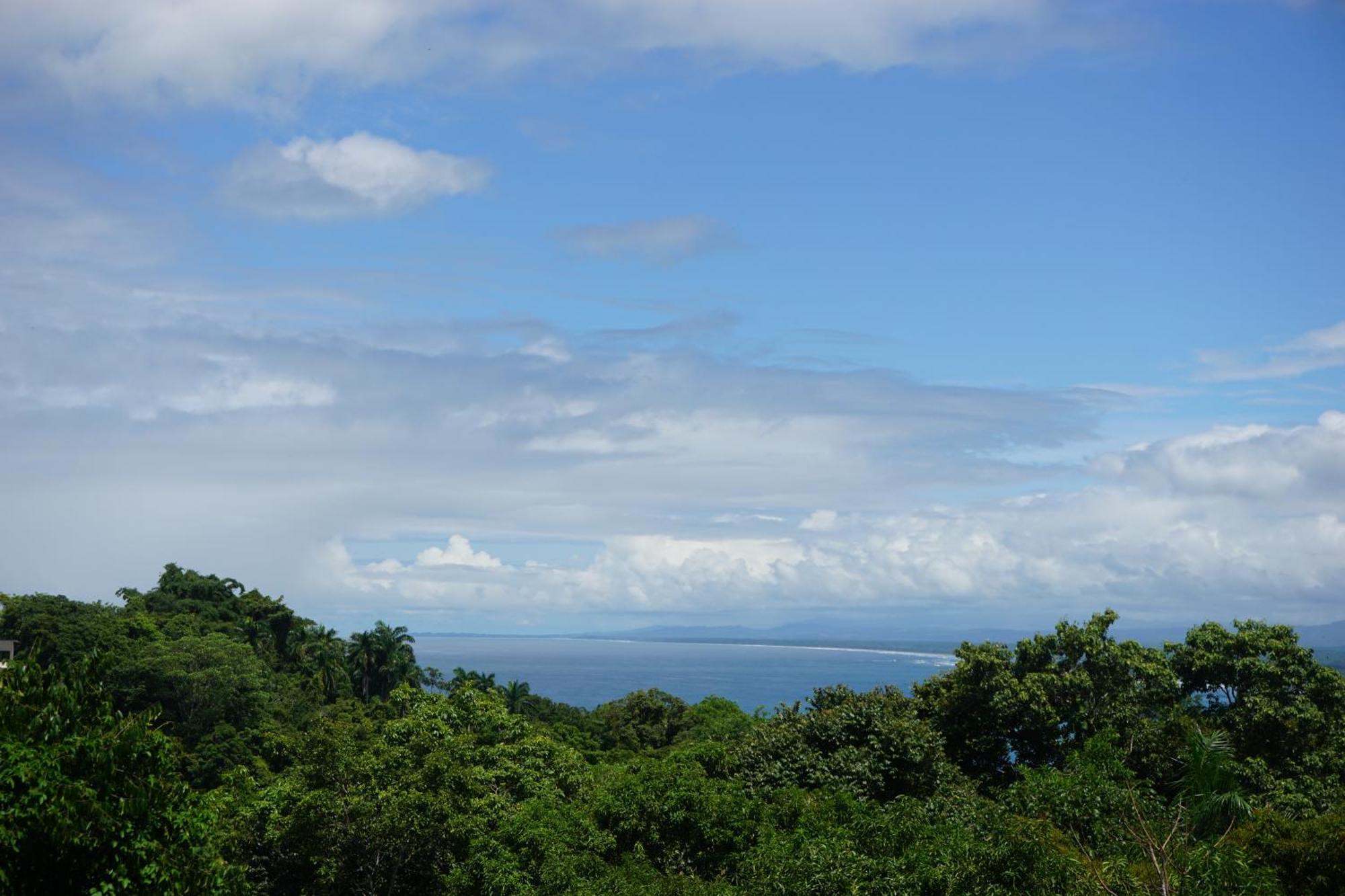 Hotel Planeta Sano Nationalpark Nationalpark Manuel Antonio Exterior foto