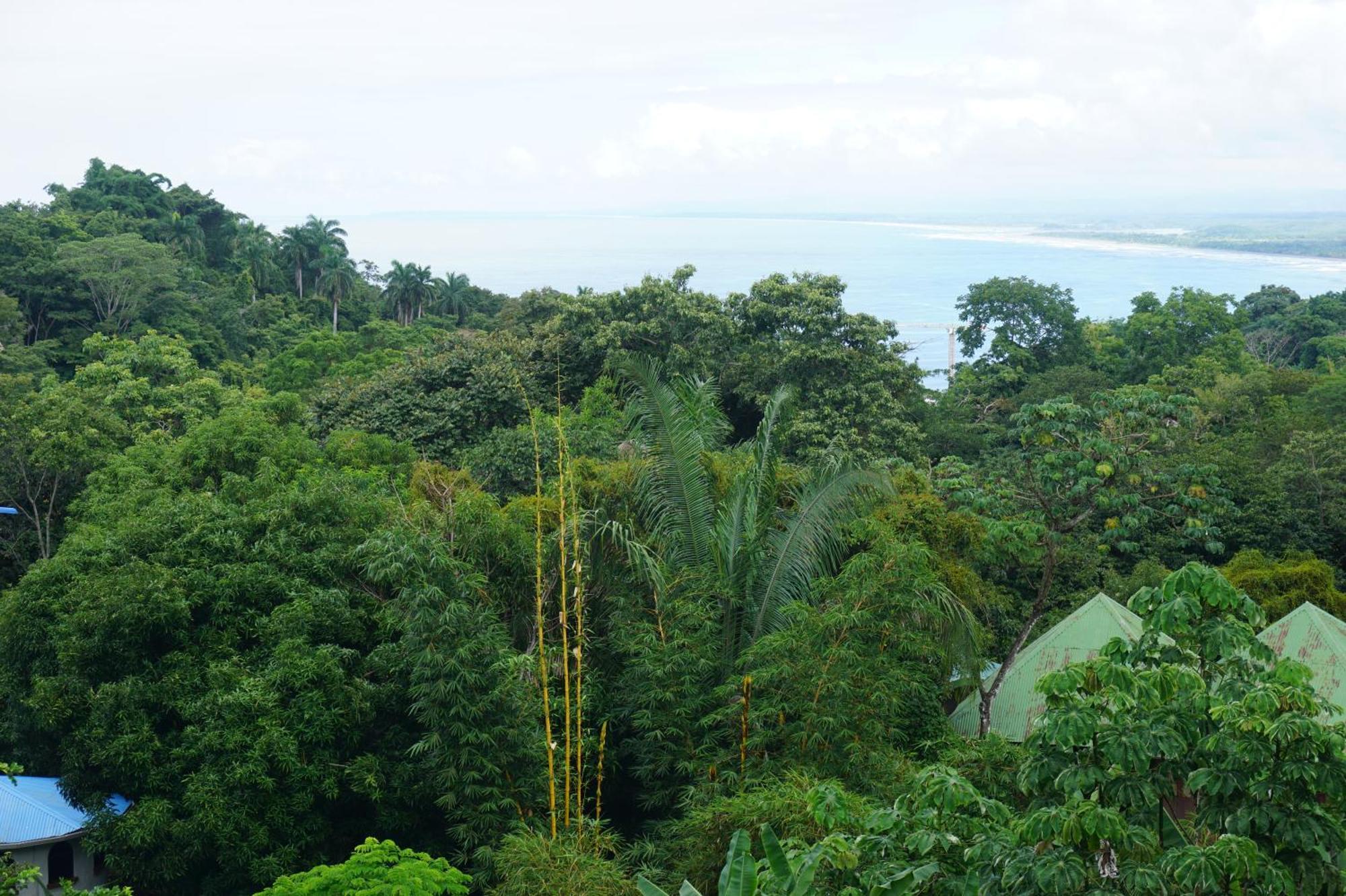 Hotel Planeta Sano Nationalpark Nationalpark Manuel Antonio Exterior foto